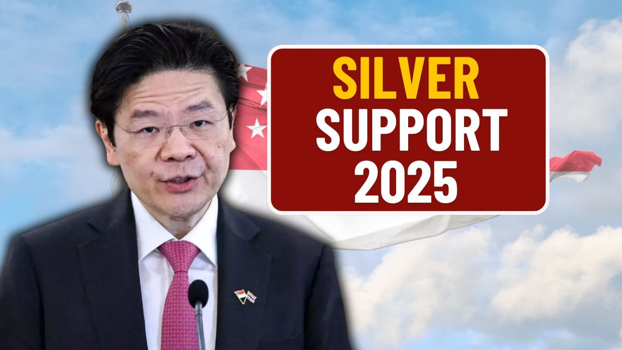 Silver Support 2025